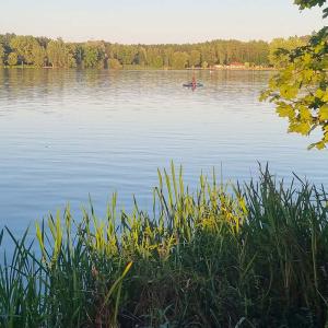 Dechsendorfer Weiher